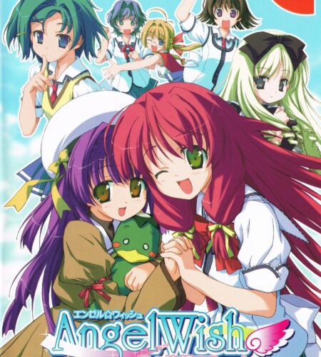 Angel Wish