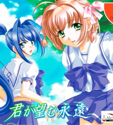 Kimi ga Nozomu Eien
