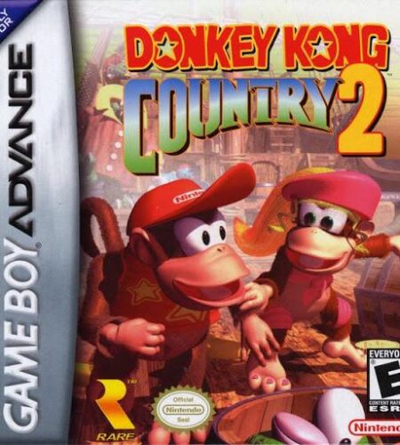 Donkey Kong Country 2
