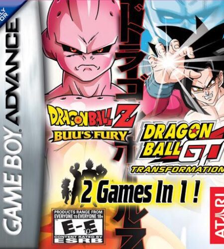 Dragon Ball Z Buu&rsquo;s Fury / GT Transformation