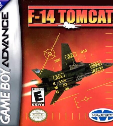 F-14 Tomcat