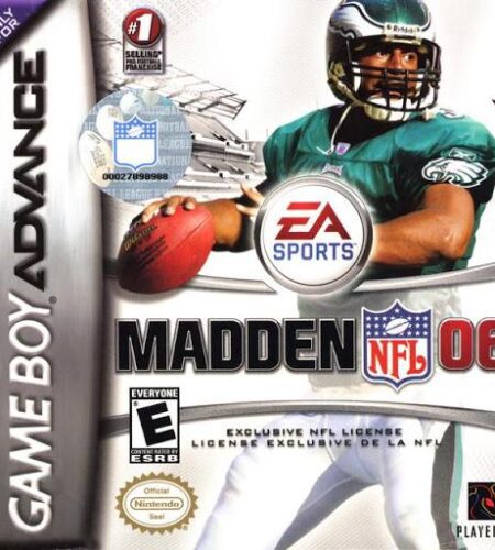 Madden 2006