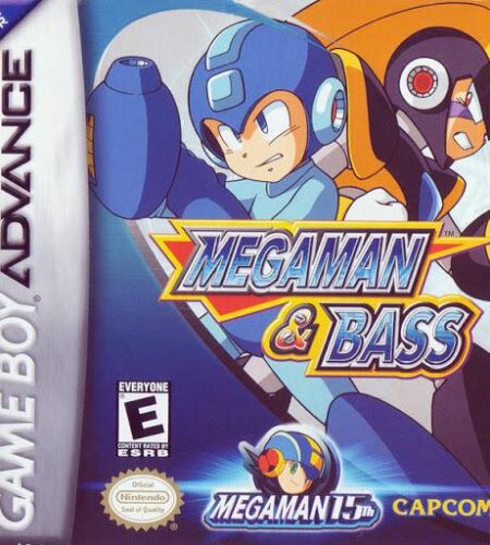 Mega Man and Bass