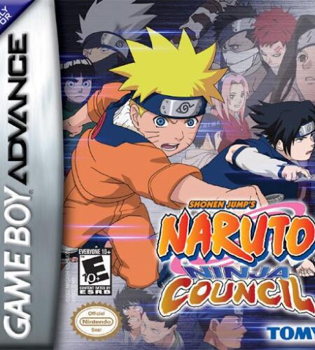 Naruto Ninja Council