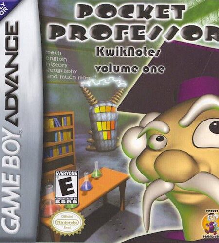 Pocket Professor KwikNotes