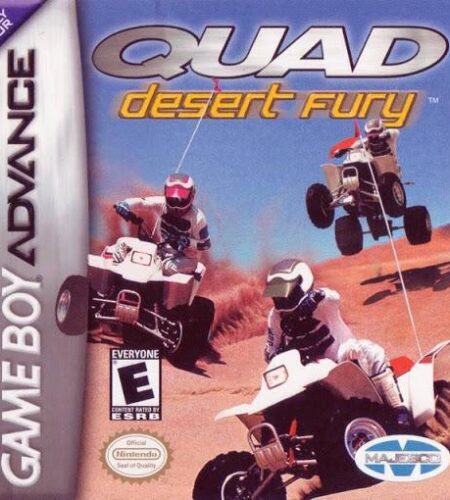 Quad Desert Fury