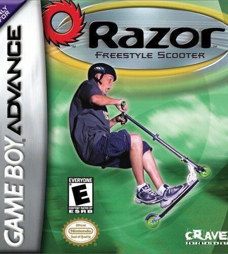 Razor Freestyle Scooter