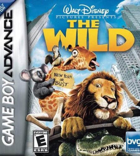 The Wild