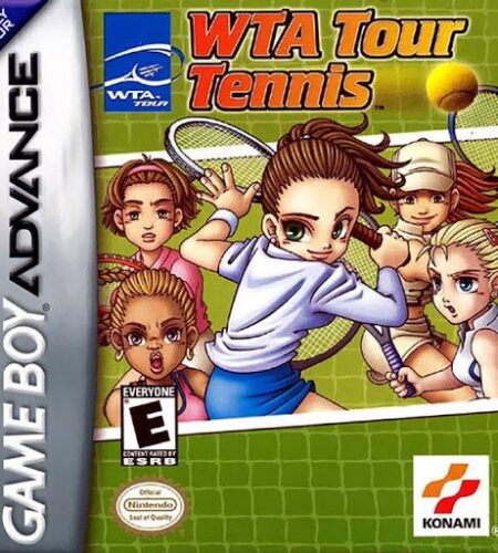 WTA Tour Tennis