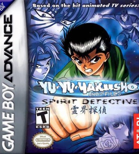 Yu Yu Hakusho Spirit Detective