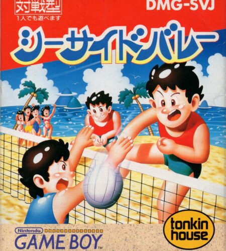 Seaside Volley
