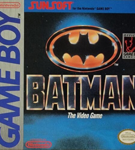 Batman the Video Game
