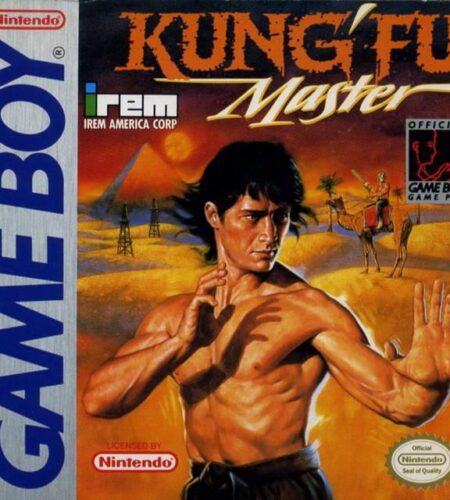 Kung Fu Master