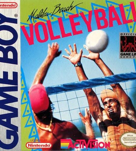 Malibu Beach Volleyball