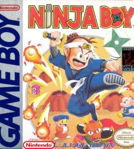 Ninja Boy