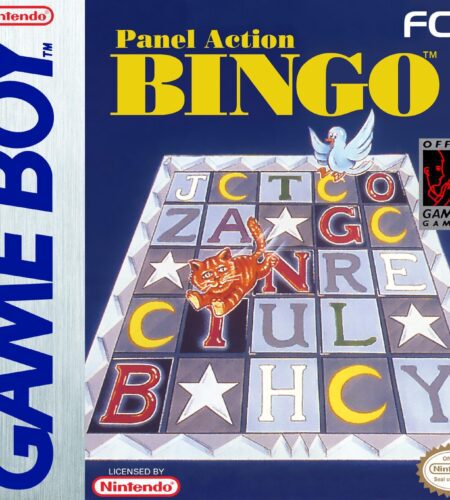Panel Action Bingo