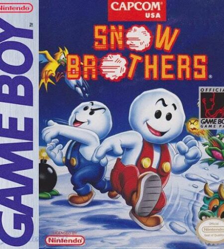 Snow Brothers