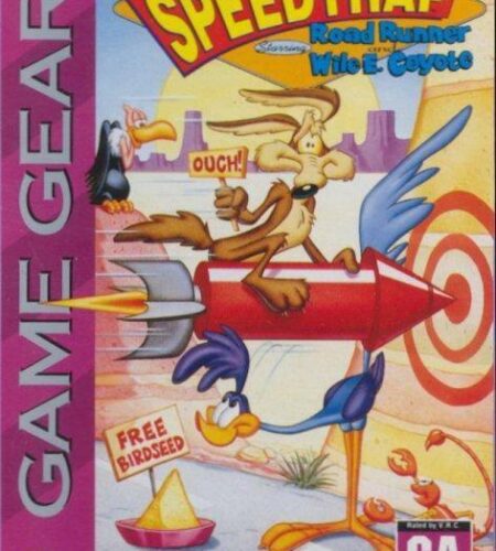 Desert Speedtrap Starring Road Runner and Wile E Coyote