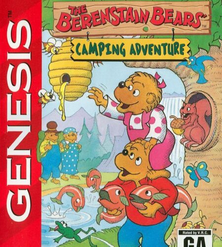 Berenstain Bears Camping Adventure