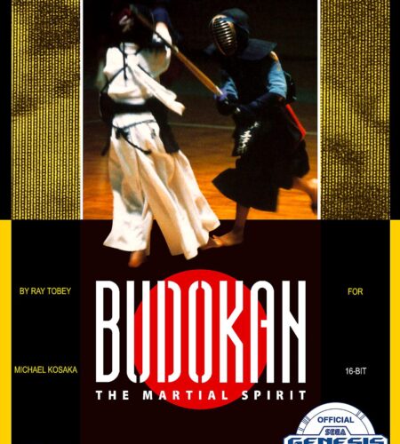 Budokan: The Martial Spirit