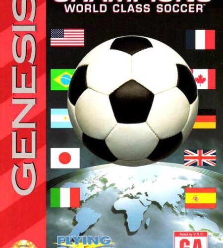 Champions World Class Soccer