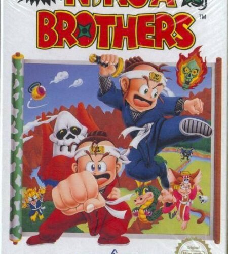 Little Ninja Brothers