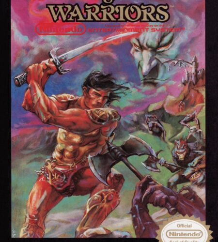 Wizards and Warriors