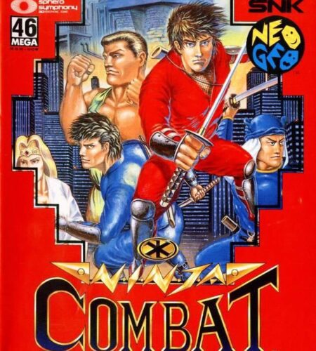 Ninja Combat