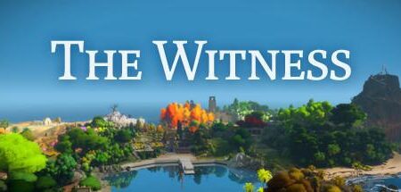 Witness