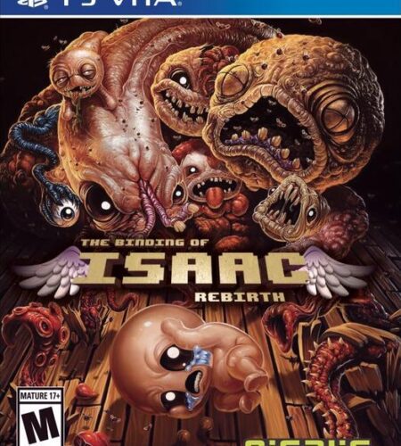Binding of Isaac Rebirth