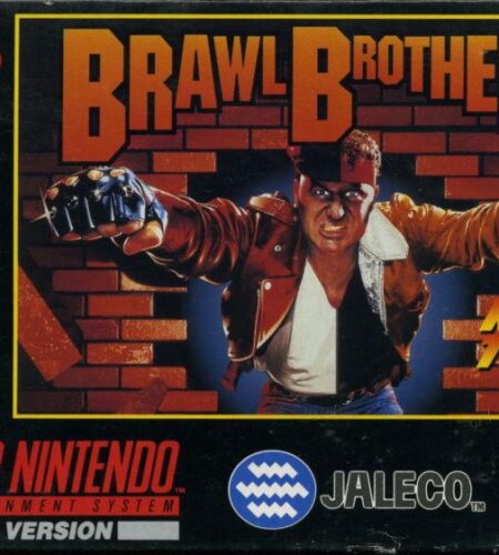 Brawl Brothers