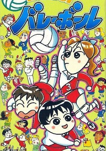 Multi Play Volleyball