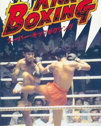 Super Kick Boxing