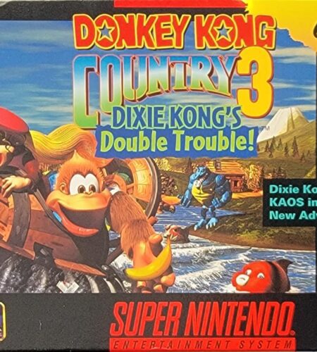 Donkey Kong Country 3
