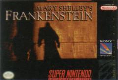 Mary Shelley&rsquo;s Frankenstein
