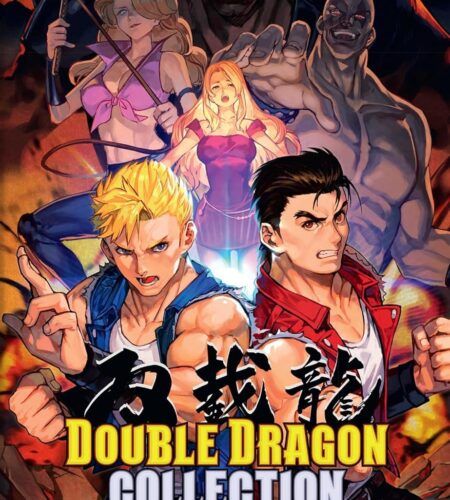 Double Dragon Collection