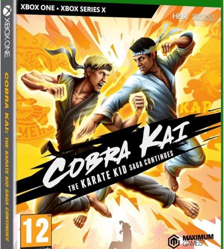 Cobra Kai: The Karate Kid Saga Continues