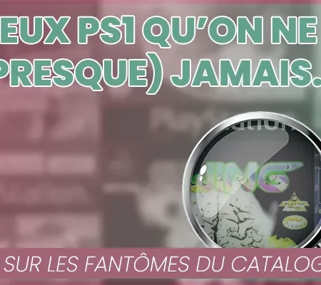 Les fantômes de la PlayStation : ces jeux qu&rsquo;on ne voit (presque) jamais en France