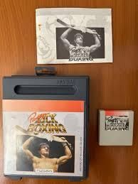 Panza Kick Boxing