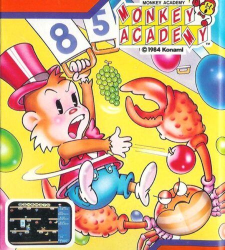 Monkey Academy